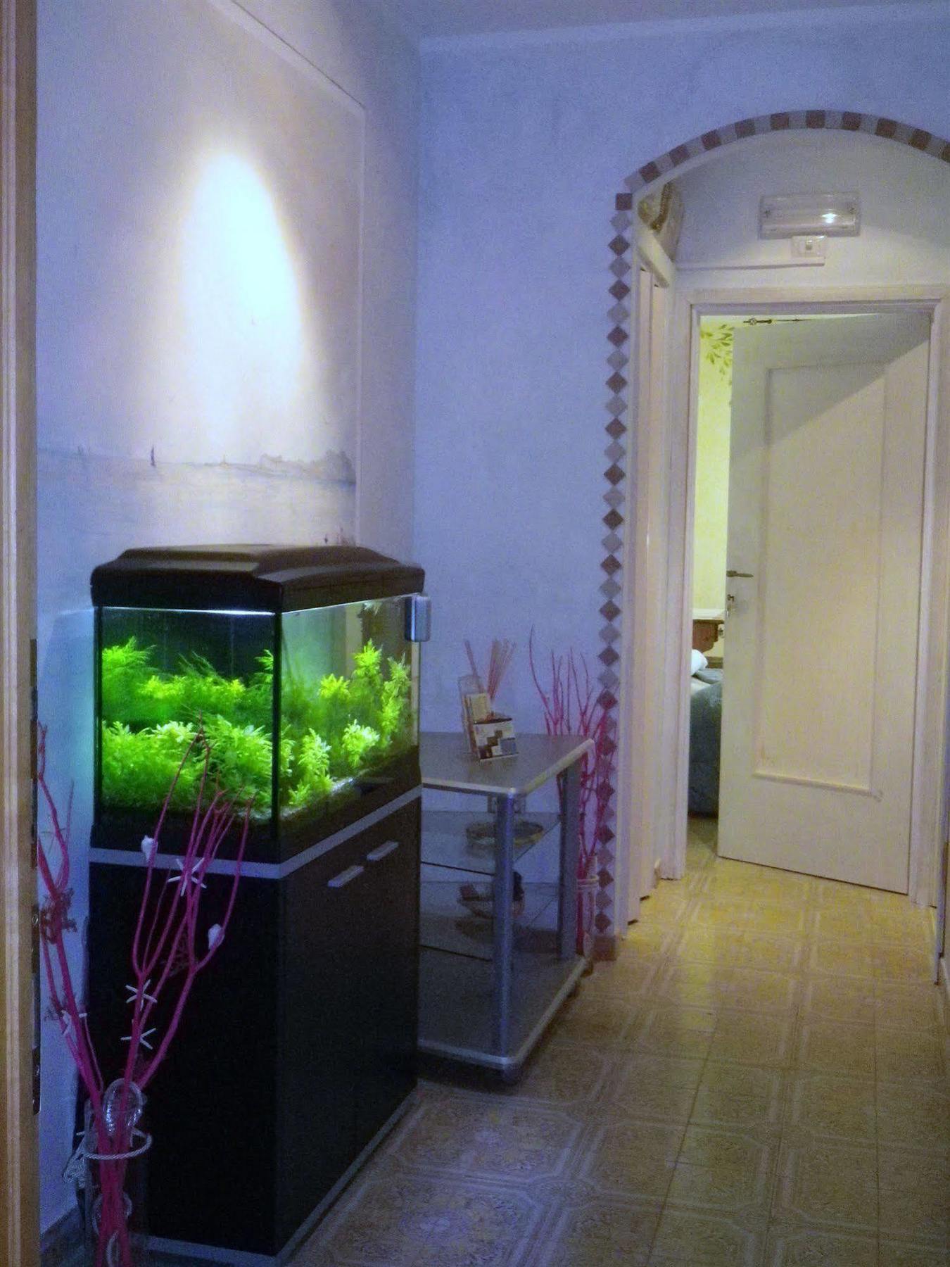 Elisart Guest House ألغيرو المظهر الخارجي الصورة
